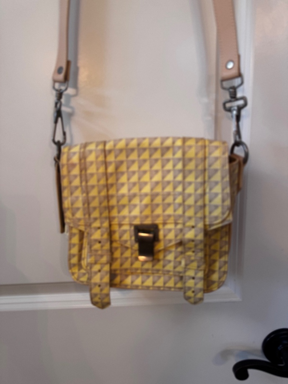 Proenza Schouler Purse